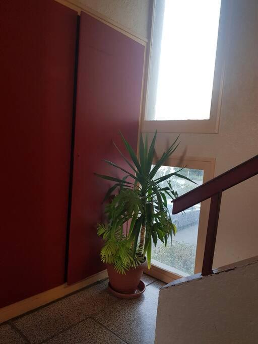 Superbe Appartement En Residence Prive Avec Un Parking Prive Scionzier Eksteriør bilde
